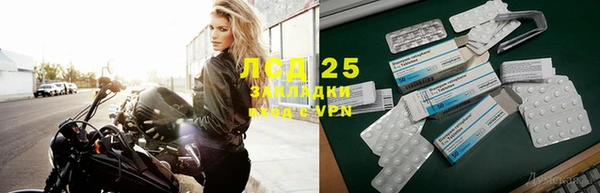 ПСИЛОЦИБИНОВЫЕ ГРИБЫ Беломорск