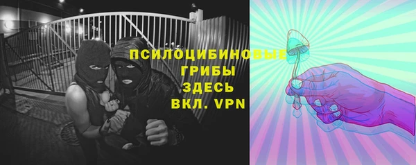 винт Белокуриха