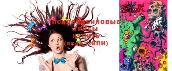 ПСИЛОЦИБИНОВЫЕ ГРИБЫ Беломорск