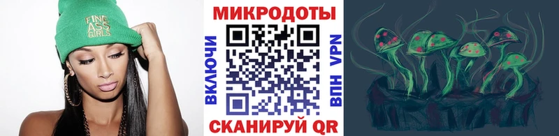 где можно купить   Онега  Псилоцибиновые грибы Psilocybe 
